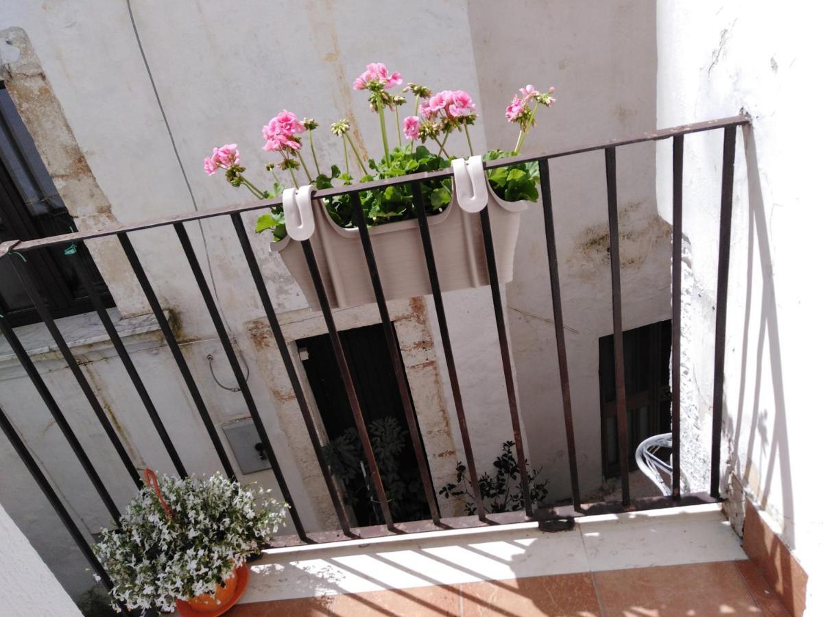Villa Rosa's Hause Conversano Exterior foto
